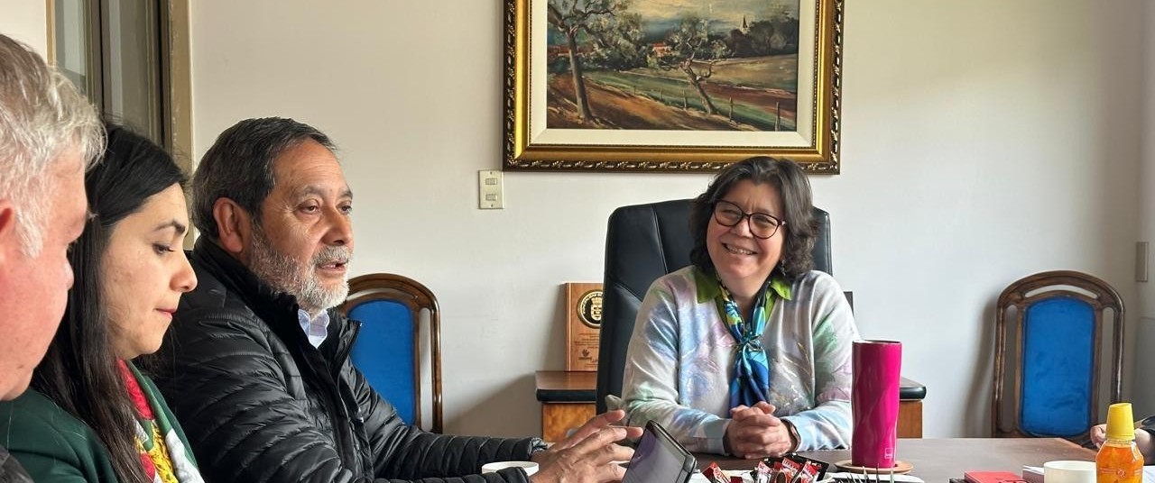 SLEP Puelche y UdeC planifican líneas de trabajo para perfeccionamiento docente